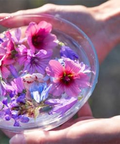 What Are Flower Essences?